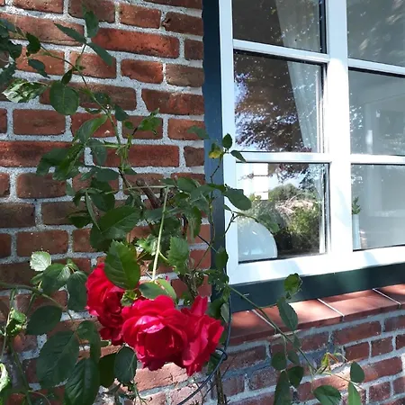 Vogelsang In Holiday home Stoltebull